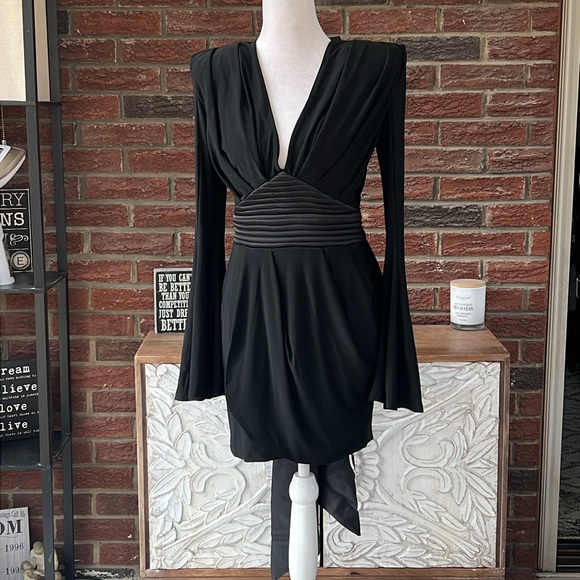 Zhivago The Fan V-Neck Minidress Size. 4 NWT - Picture 3 of 7